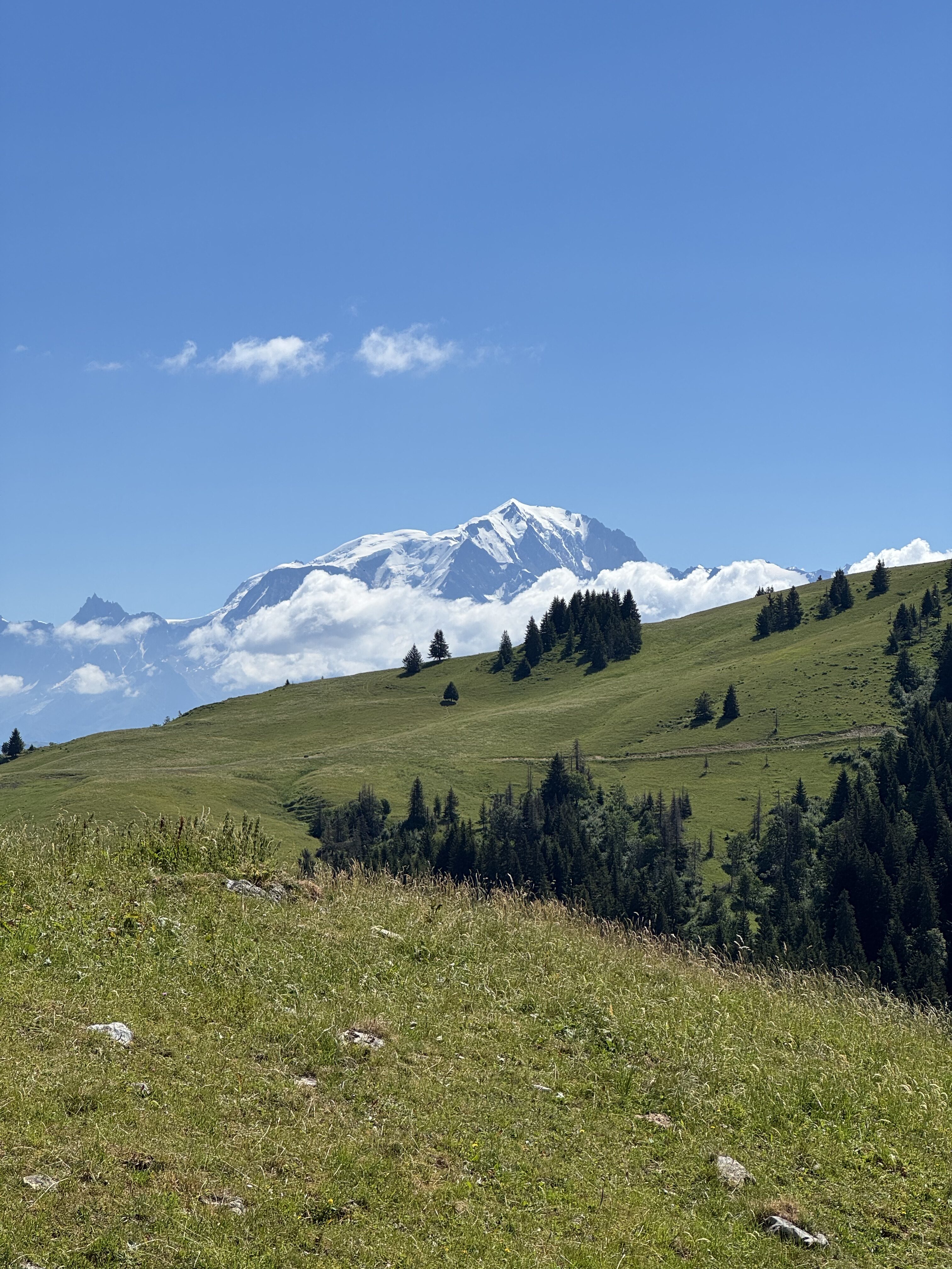 Vue sur le massif du Mont Blanc enneigé depuis un alpage verdoyant en été.