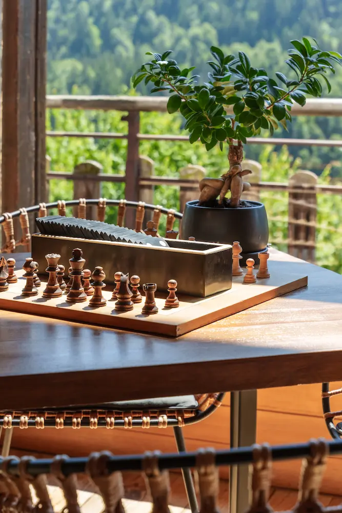 Échiquier en bois avec pièces et petit arbre en pot sur une table en terrasse